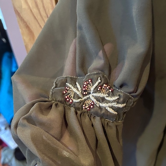Carolina Belle Brown Sheer Blouse with Embellished Sleeves - Picture 4 of 4